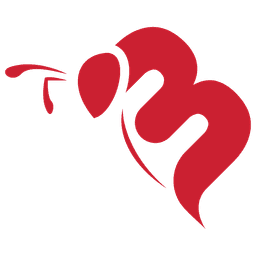 IELTS Bee icon